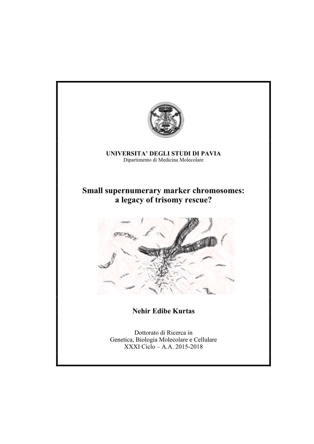 Small Supernumerary Marker Chromosomes: a Legacy of Trisomy Rescue?