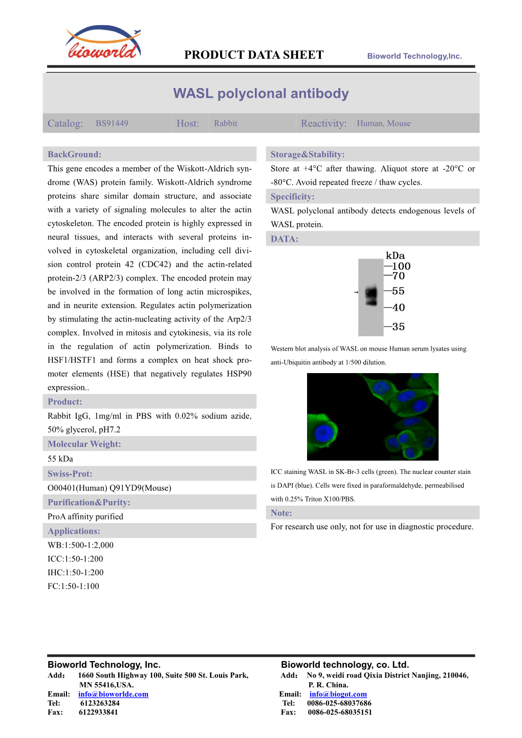 WASL Polyclonal Antibody