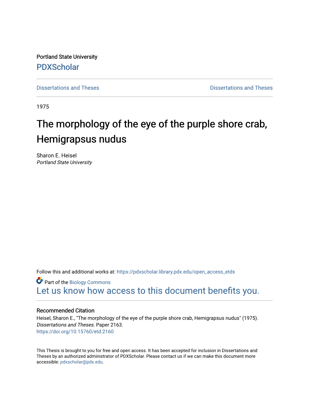 The Morphology of the Eye of the Purple Shore Crab, Hemigrapsus Nudus