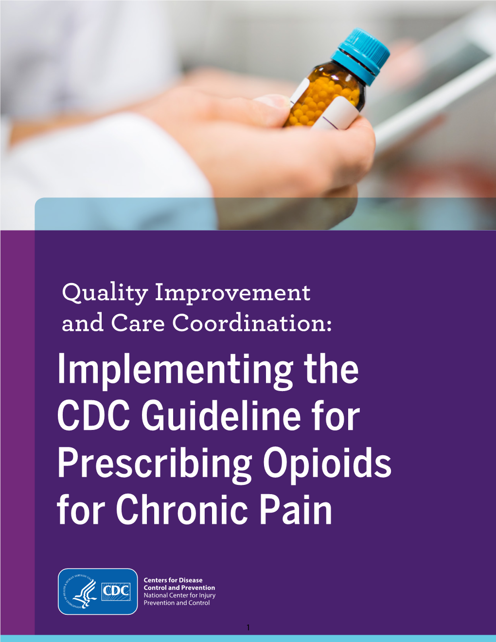 Quality Improvement and Care Coordination: Implementing the CDC Guideline for Prescribing Opioids for Chronic Pain