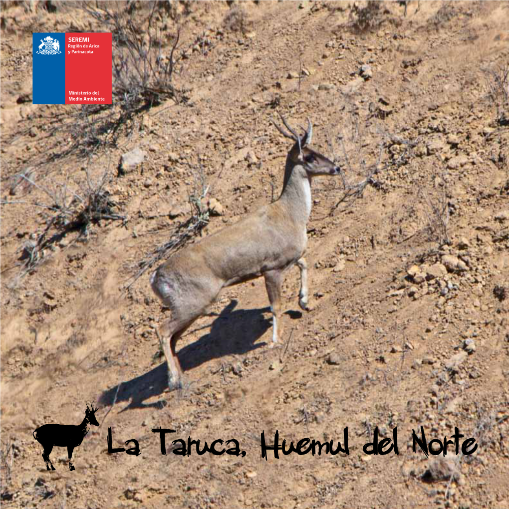 La Taruca, Huemul Del Norte