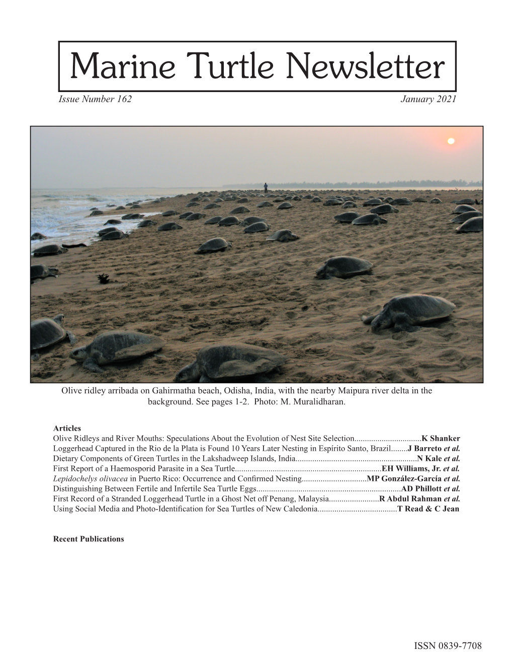 Marine Turtle Newsletter Issue Number 162 January 2021