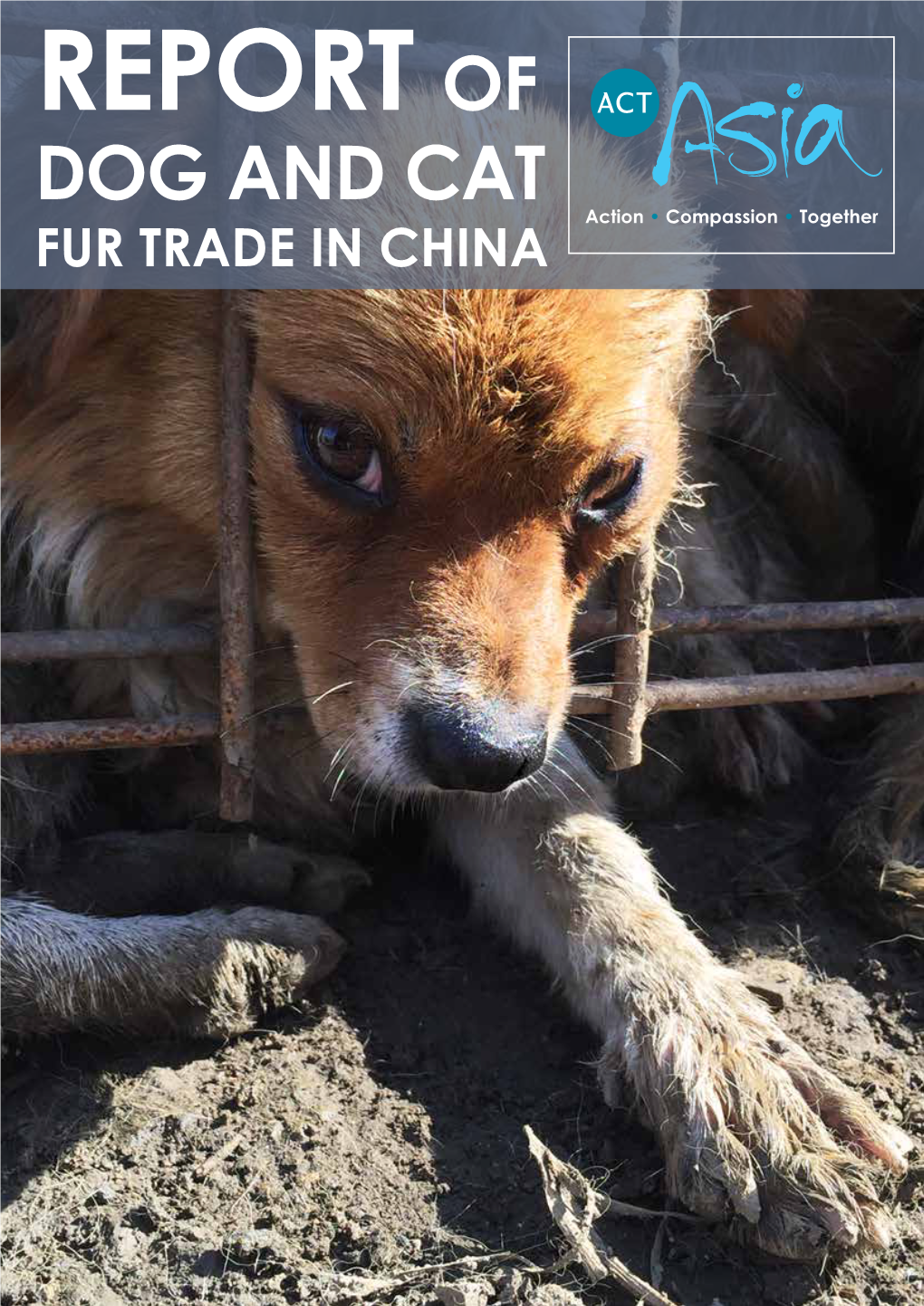 Report of Dog and Cat Fur Trade in China