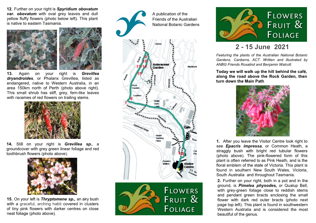 15 June 2021 Featuring the Plants of the Australian National Botanic Gardens, Canberra, ACT