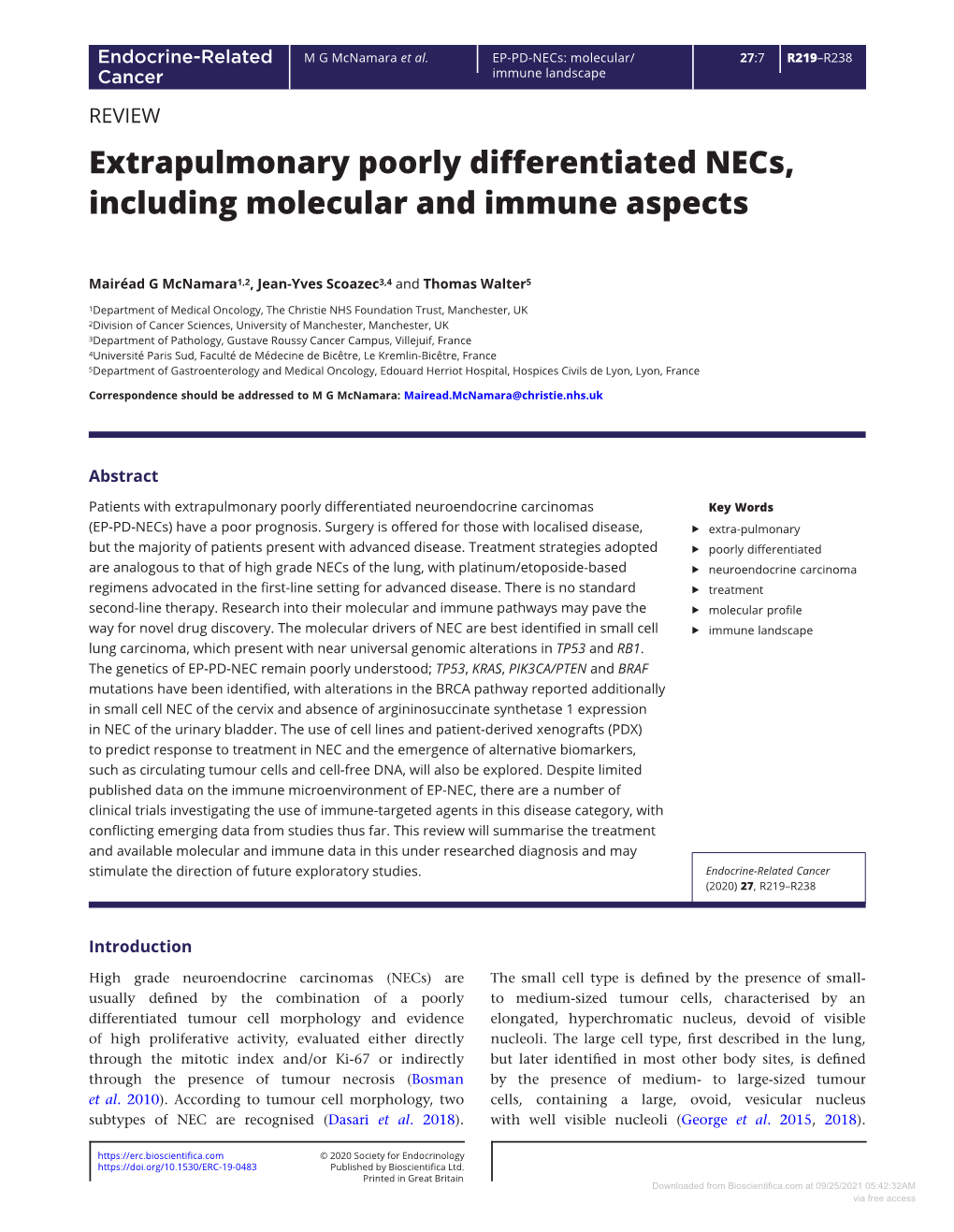 Extrapulmonary Poorly Differentiated Necs, Including Molecular and Immune Aspects