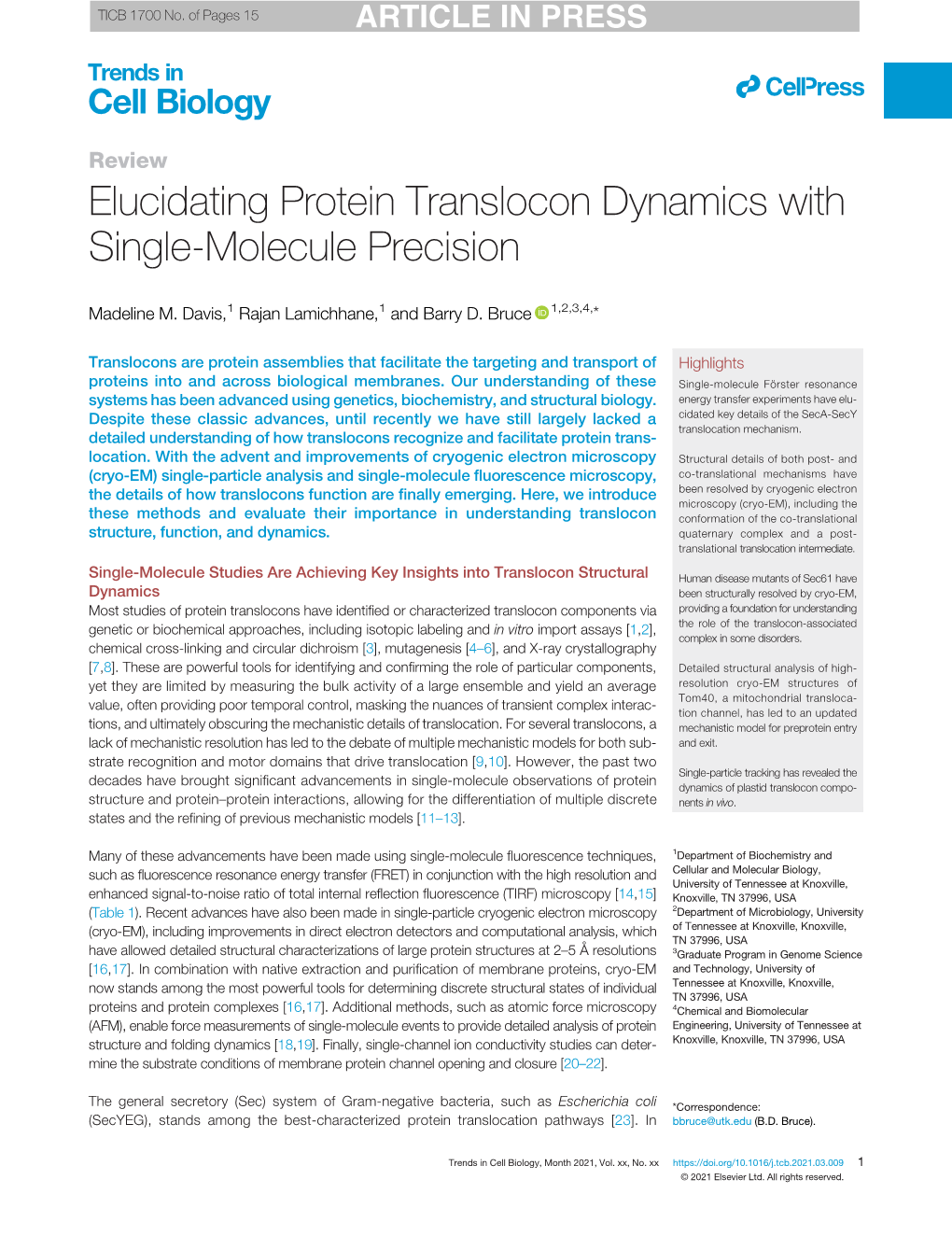 Elucidating Protein Translocon Dynamics with Single-Molecule Precision