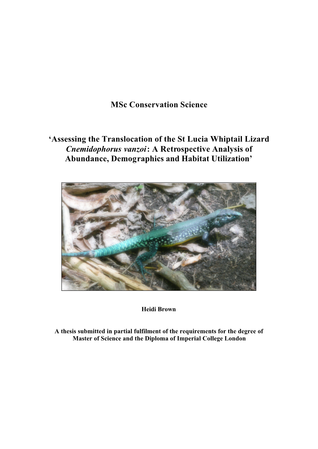 Assessing Translocation of Whiptail