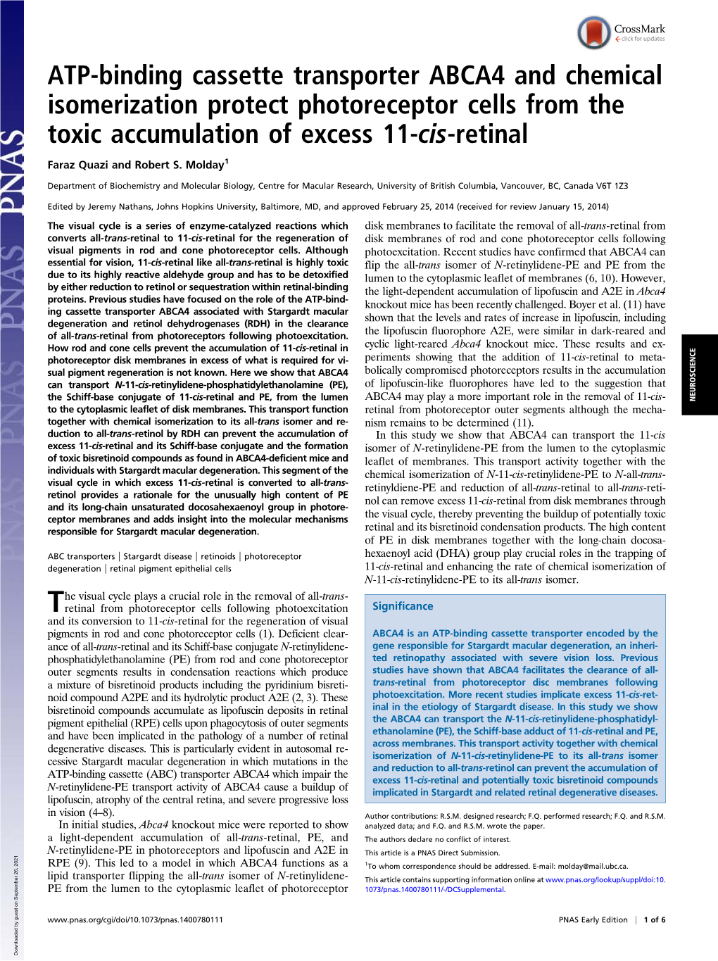 ATP-Binding Cassette Transporter ABCA4 and Chemical Isomerization Protect Photoreceptor Cells from the Toxic Accumulation of Excess 11-Cis-Retinal