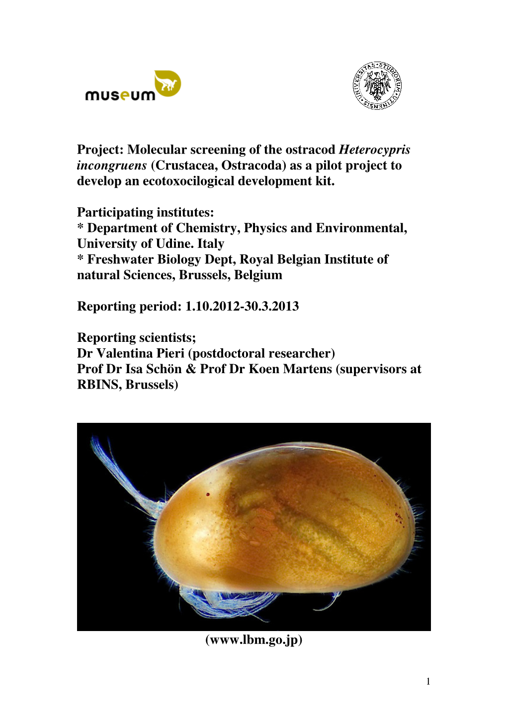 Molecular Screening of the Ostracod Heterocypris Incongruens (Crustacea, Ostracoda) As a Pilot Project to Develop an Ecotoxocilogical Development Kit