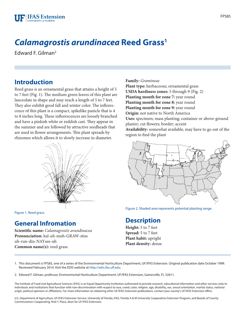 Calamagrostis Arundinacea Reed Grass1 Edward F