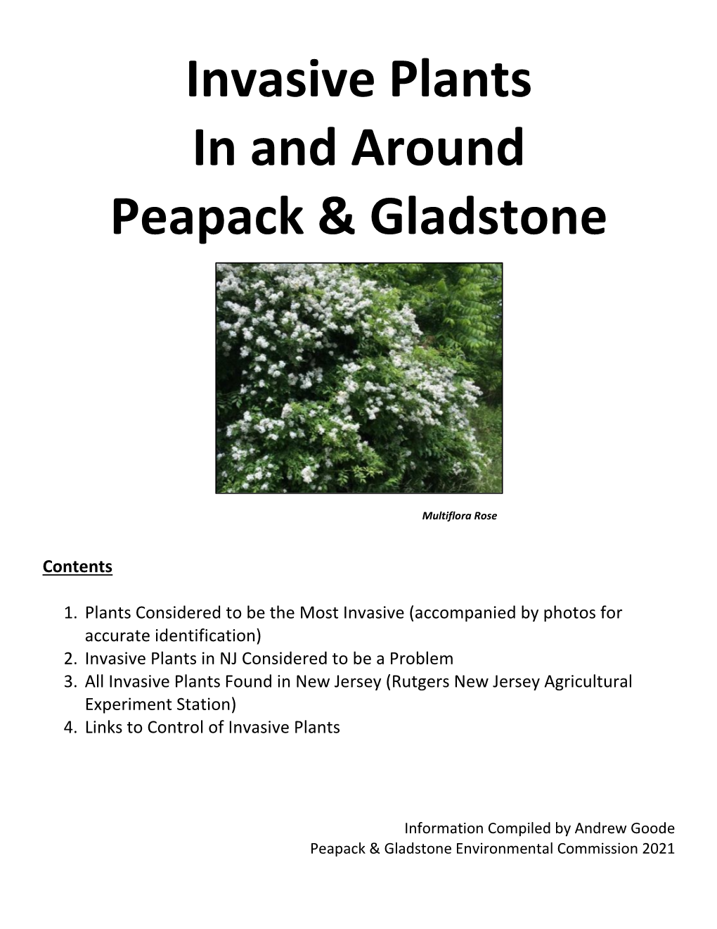 Invasive Plants in and Around Peapack & Gladstone