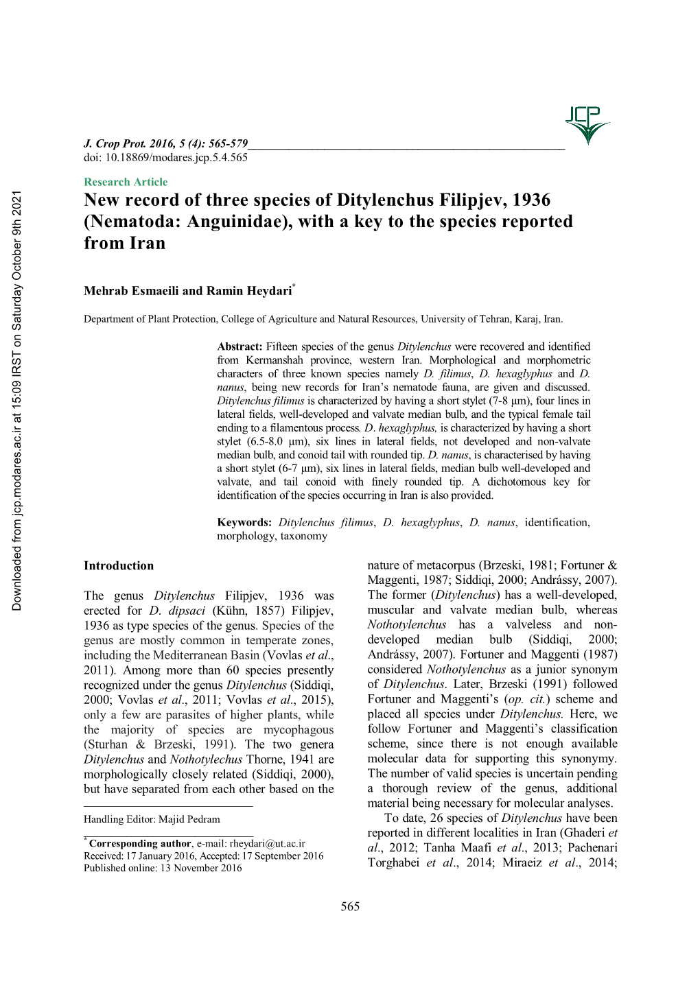 New Record of Three Species of Ditylenchus Filipjev, 1936 (Nematoda: Anguinidae), with a Key to the Species Reported from Iran