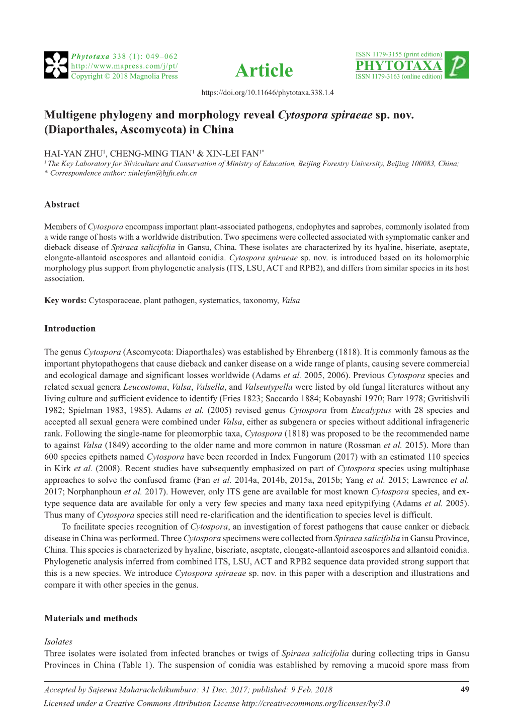 Multigene Phylogeny and Morphology Reveal Cytospora Spiraeae Sp