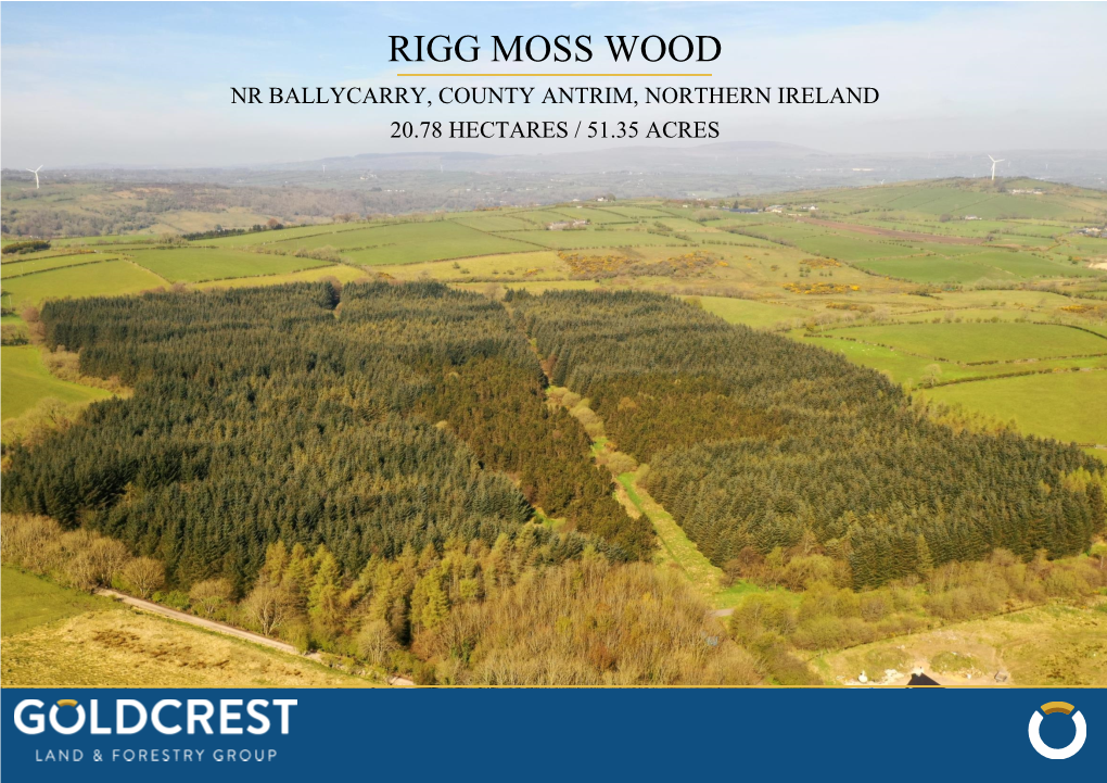 Rigg Moss Wood Nr Ballycarry, County Antrim, Northern Ireland 20.78 Hectares / 51.35 Acres