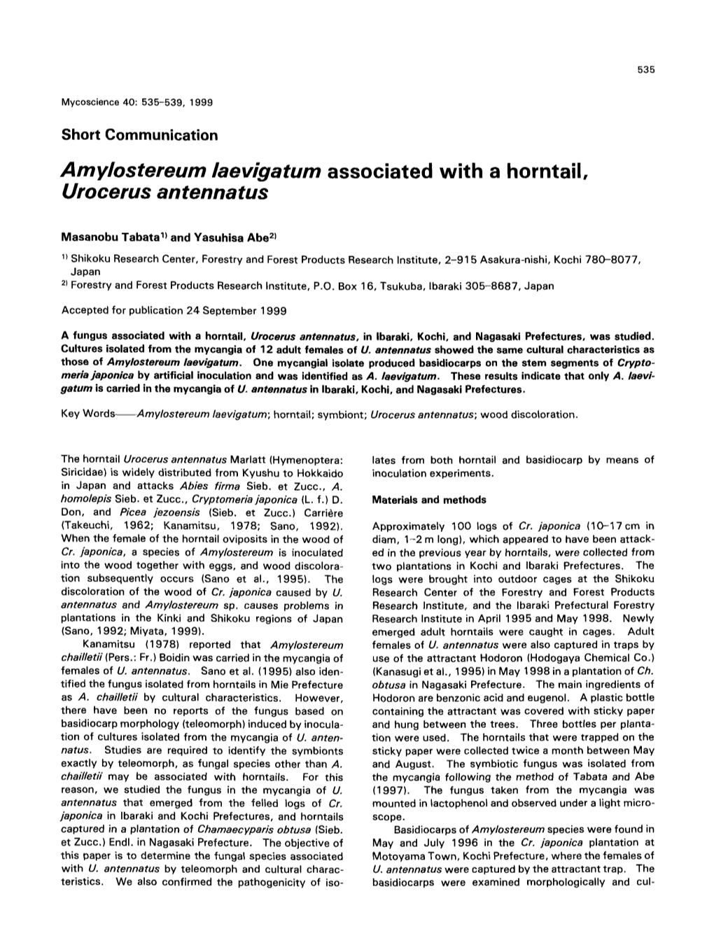 Amylostereum Laevigatum Associated with a Horntail, Urocerus Antennatus