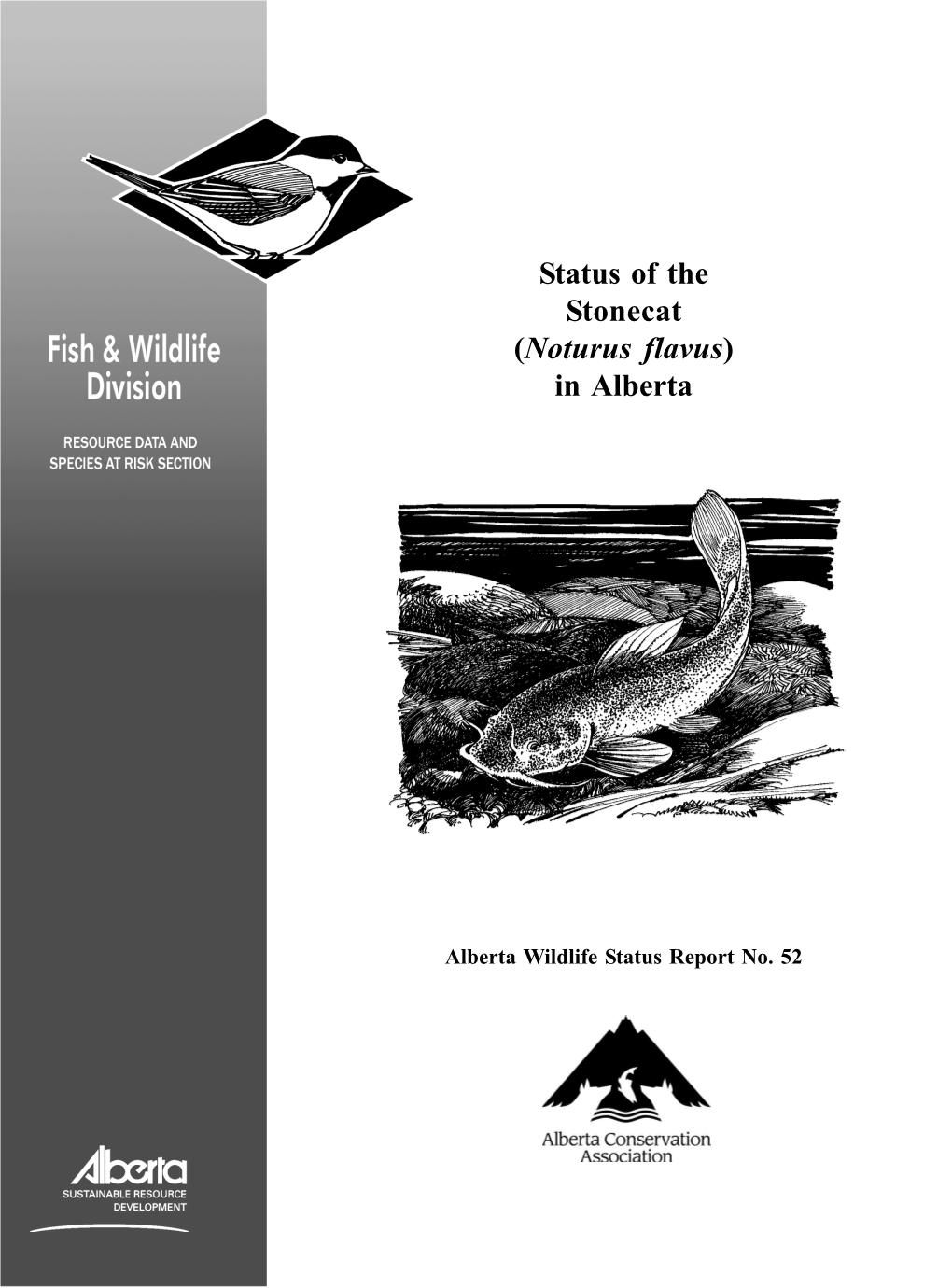 Status of Stonecat in Alberta 2004