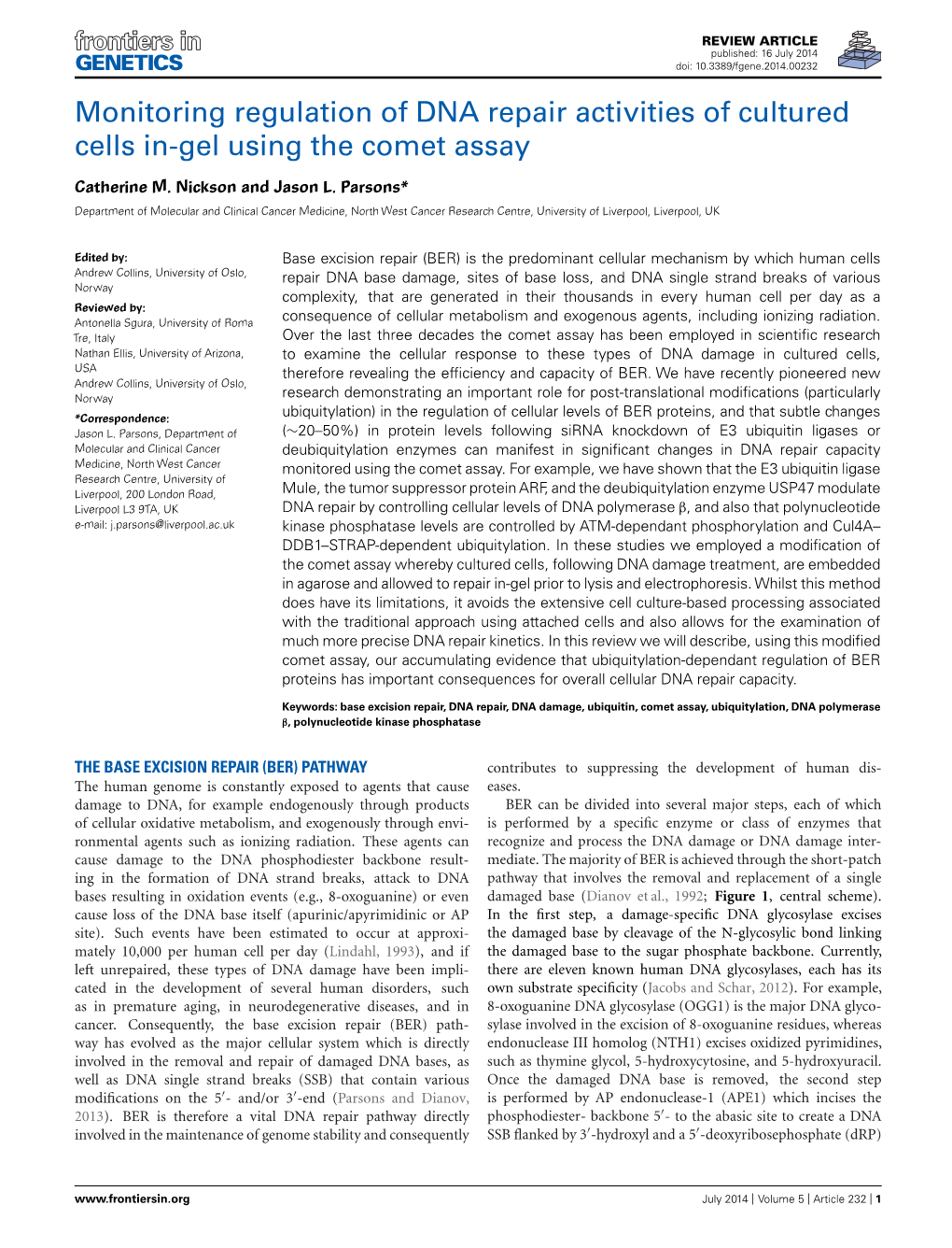 Monitoring Regulation of DNA Repair Activities of Cultured Cells In-Gel Using the Comet Assay