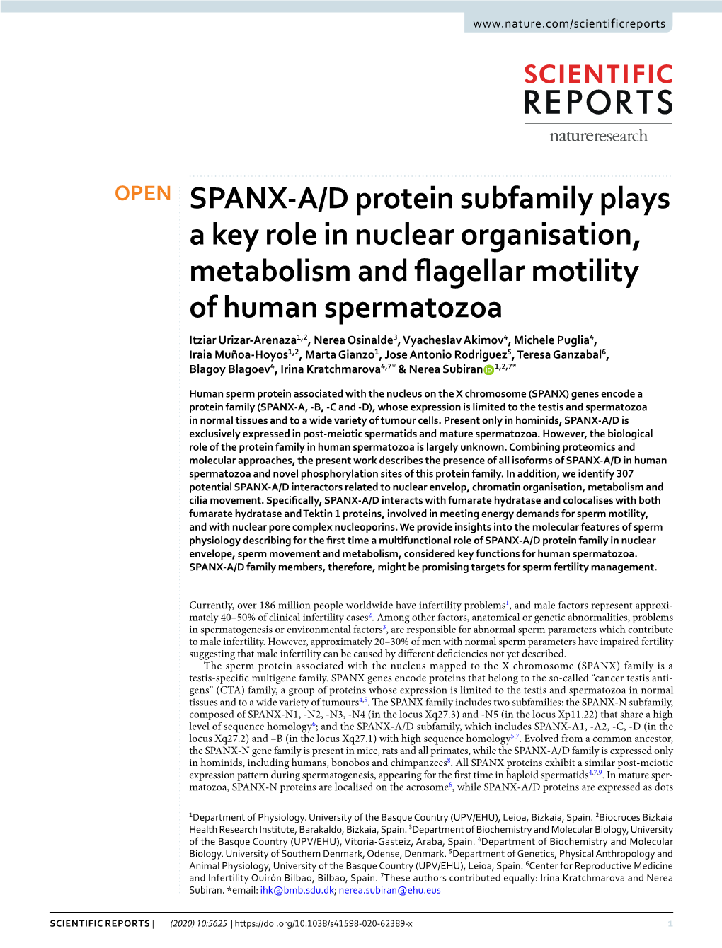 SPANX-A/D Protein Subfamily Plays a Key Role in Nuclear Organisation