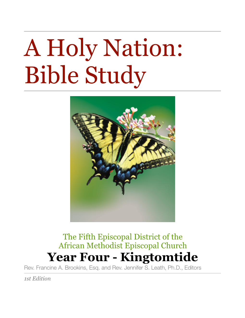 A Holy Nation: Bible Study