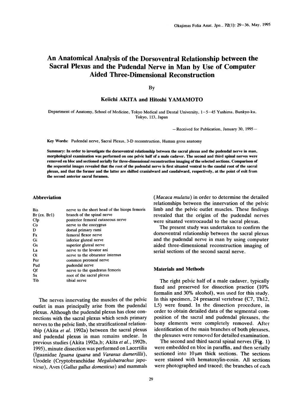 Sacral Plexus and the Pudendal Nerve in Man by Use of Computer Aided Three-Dimensional Reconstruction