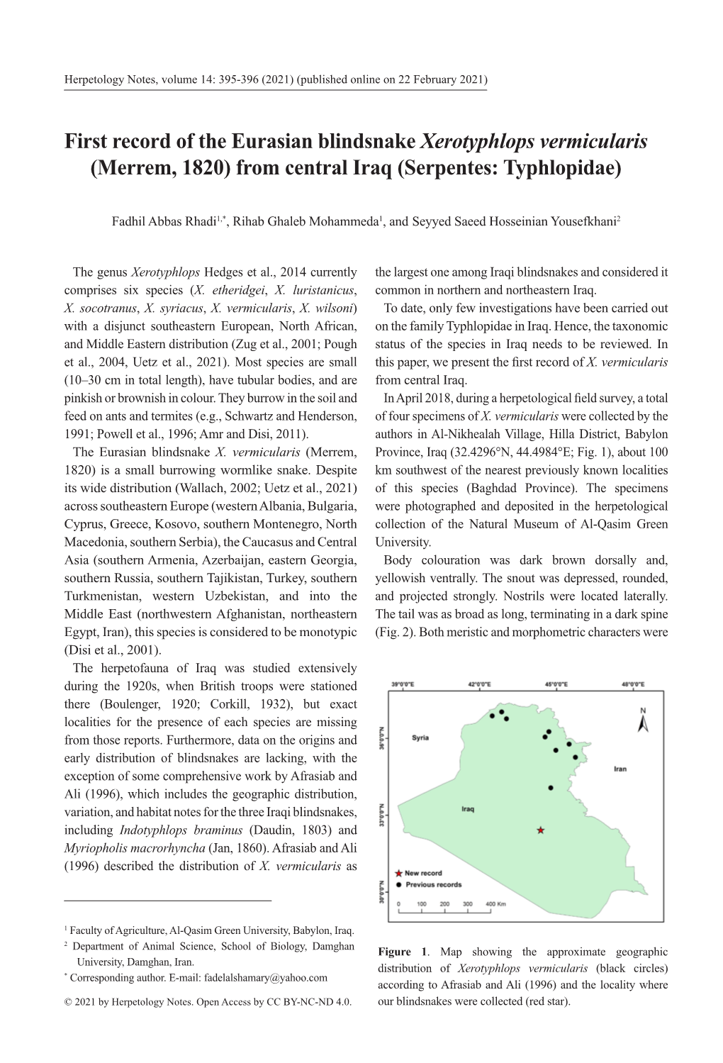 First Record of the Eurasian Blindsnake Xerotyphlops Vermicularis (Merrem, 1820) from Central Iraq (Serpentes: Typhlopidae)