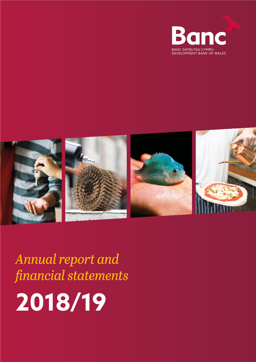 Annual Report and Financial Statements 2018/19 Annual Report and Financial Statements 2018/19