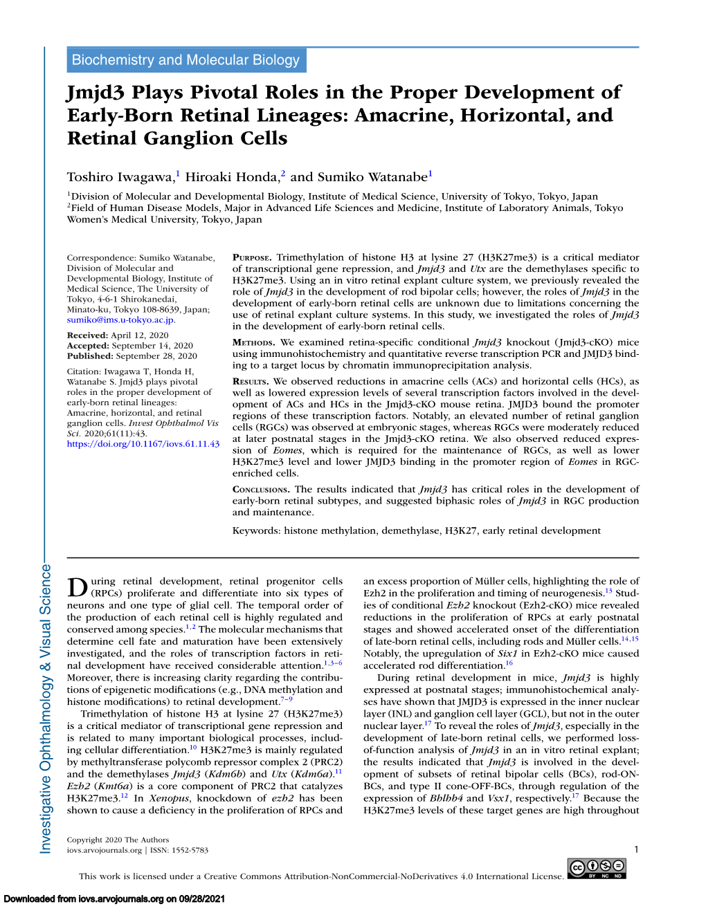 Amacrine, Horizontal, and Retinal Ganglion Cells