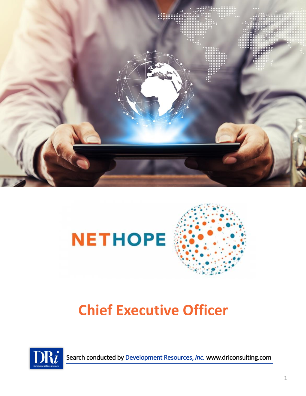 Position Overview Nethope CEO 2020