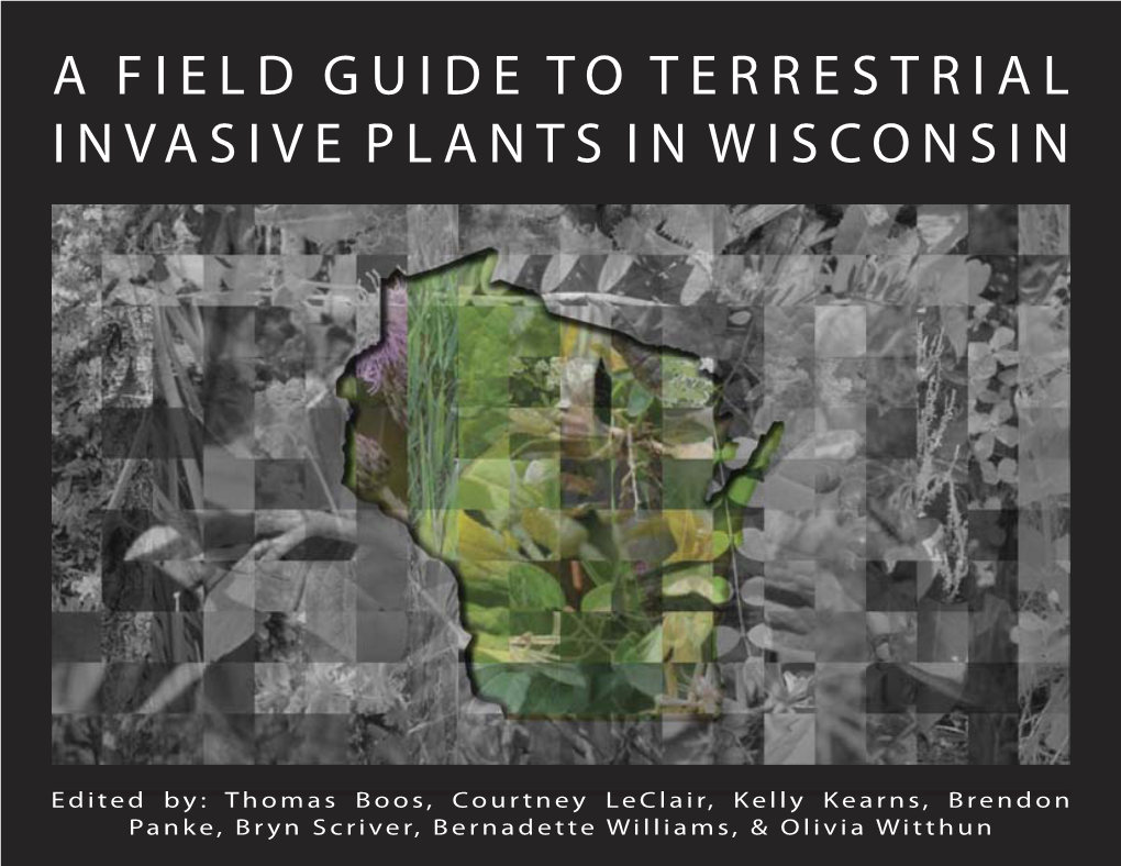 Invasive Plant Guide