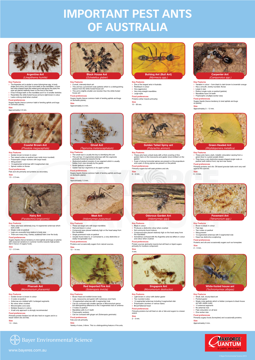 Important Pest Ants of Australia