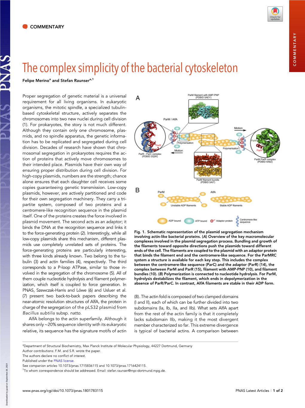 The Complex Simplicity of the Bacterial Cytoskeleton COMMENTARY
