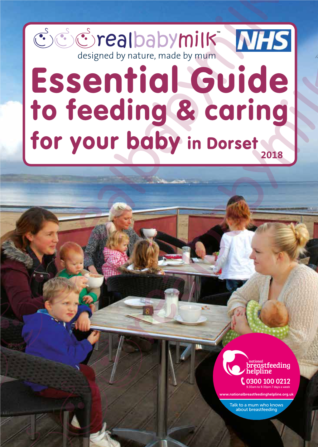 Download the Dorset Essential Guide As A