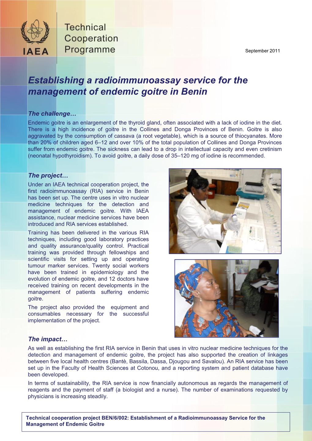 Establishing a Radioimmunoassay Service for the Management of Endemic Goitre in Benin