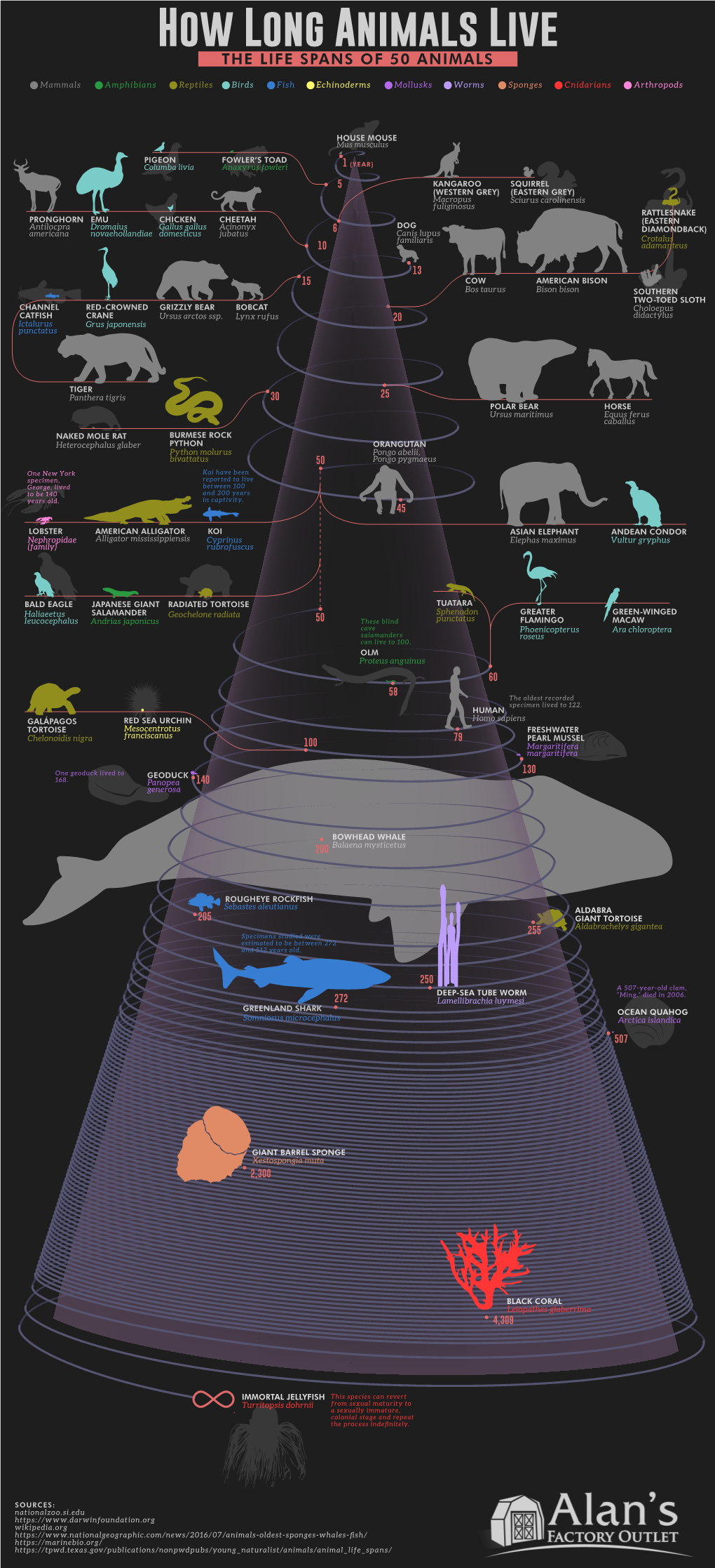 A PDF of How Long Animals Live: the Life Spans of 50 Animals