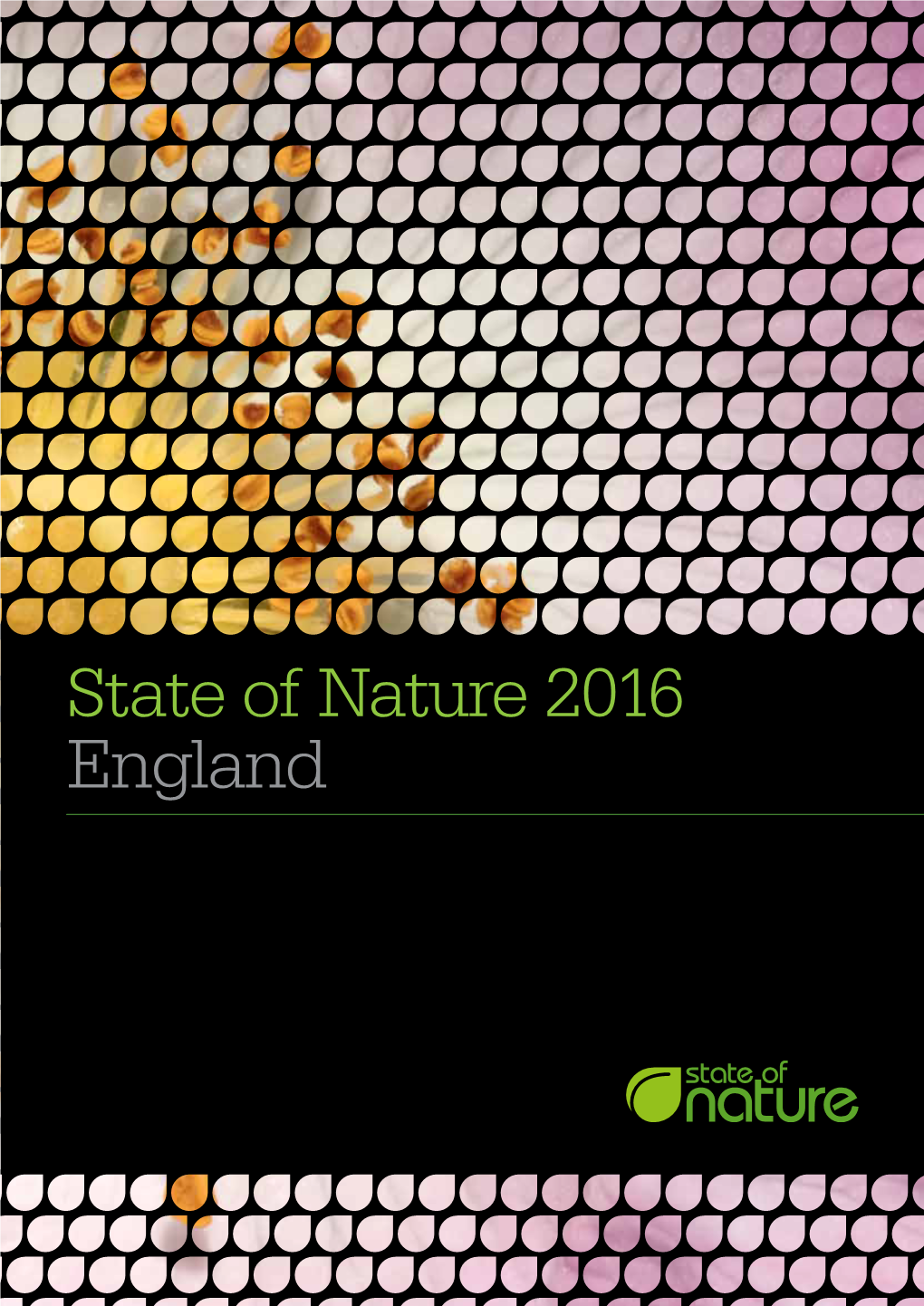 State of Nature 2016 England STATE of NATURE 2016: ENGLAND