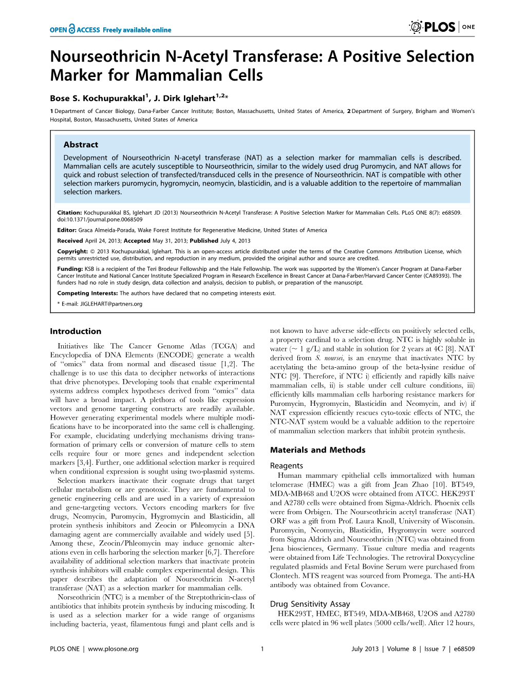 Nourseothricin N-Acetyl Transferase: a Positive Selection Marker for Mammalian Cells