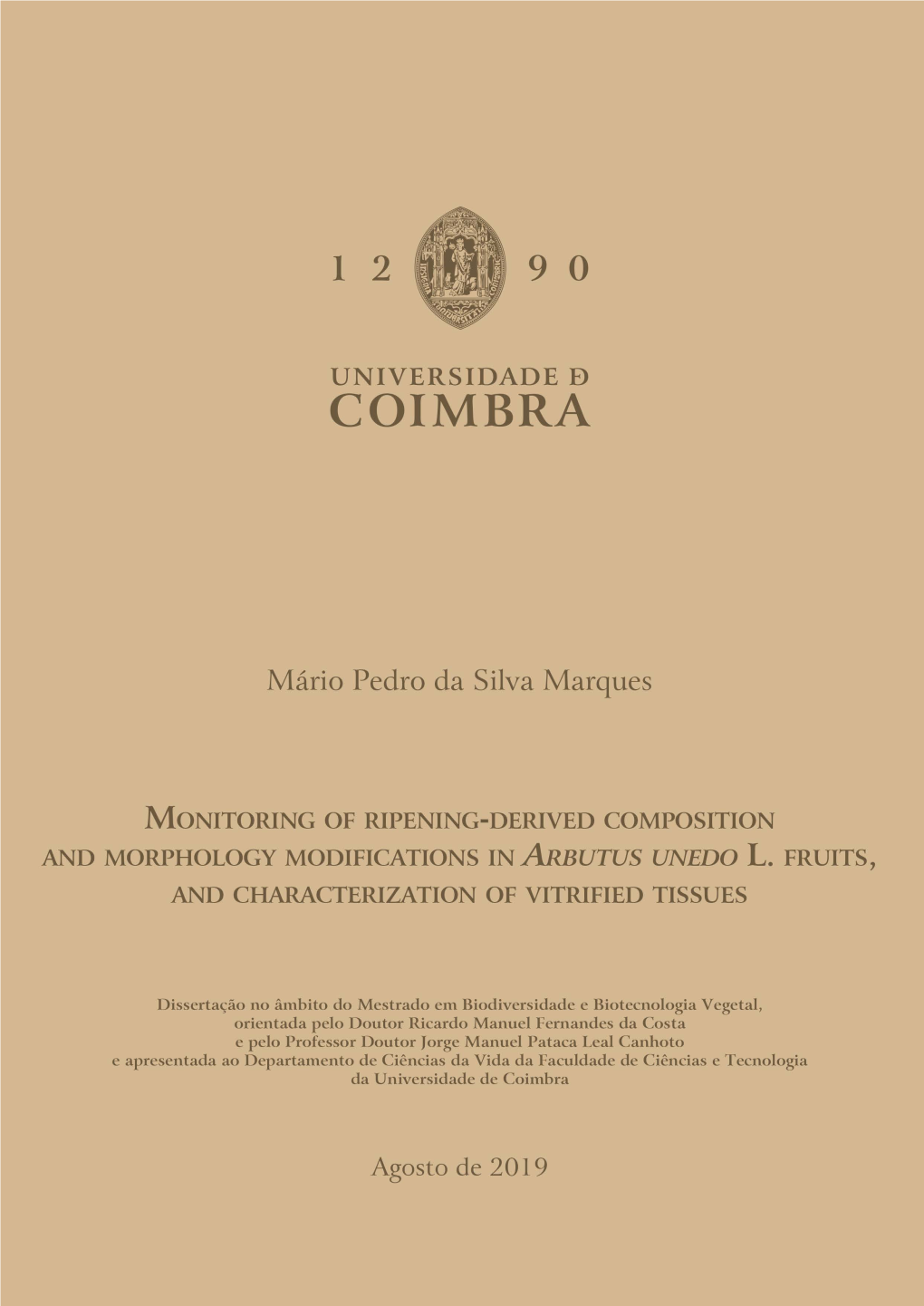 Dissertação De Mário Pedro S Marques.Pdf