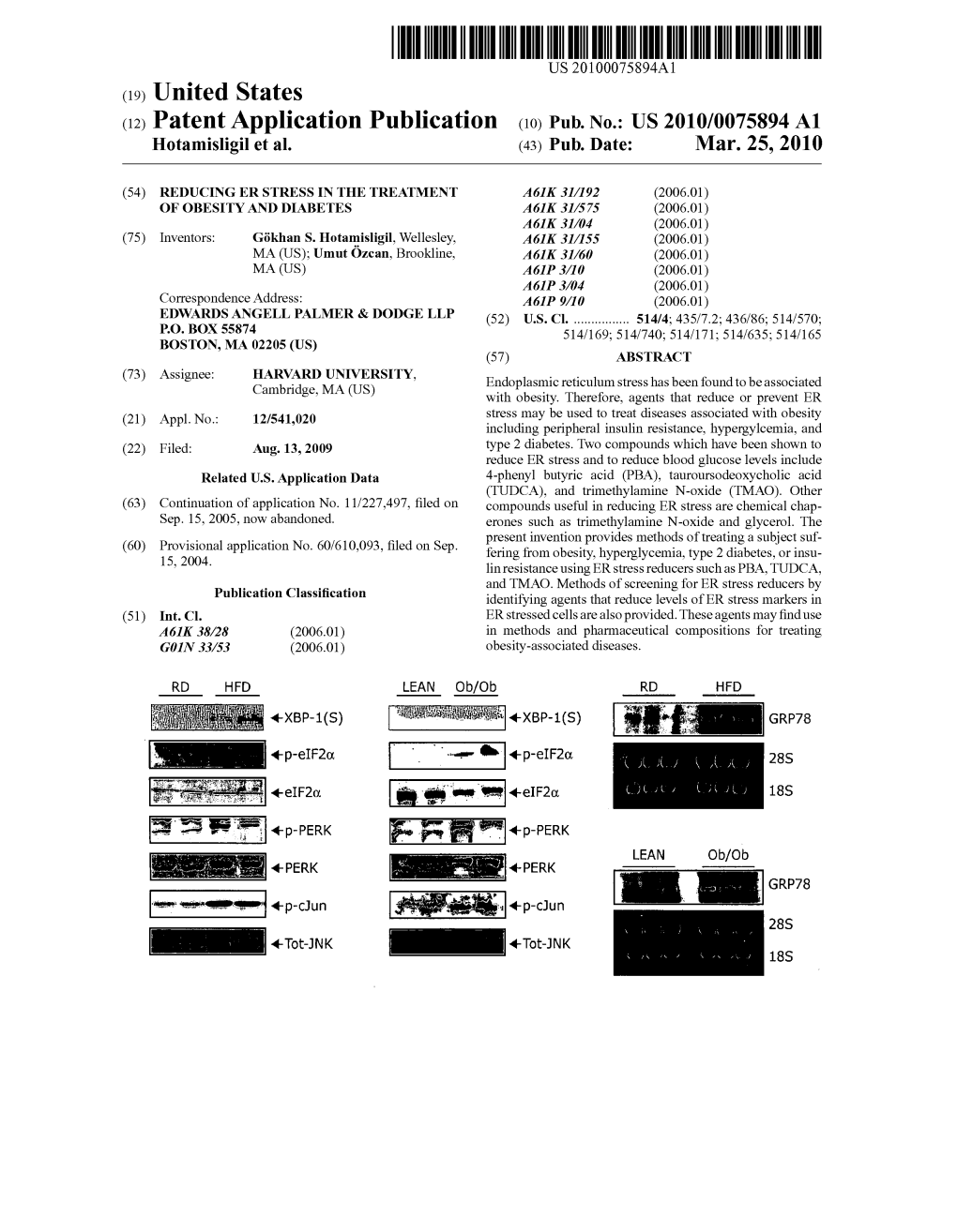 Tot-JNK 18S Patent Application Publication Mar