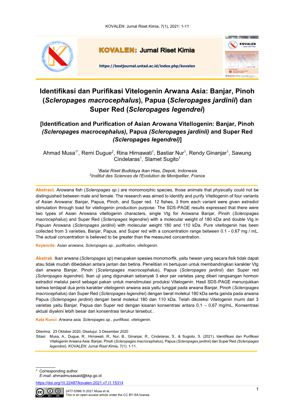 Identifikasi Dan Purifikasi Vitelogenin Arwana Asia: Banjar, Pinoh (Scleropages Macrocephalus), Papua (Scleropages Jardinii) Dan Super Red (Scleropages Legendrei)