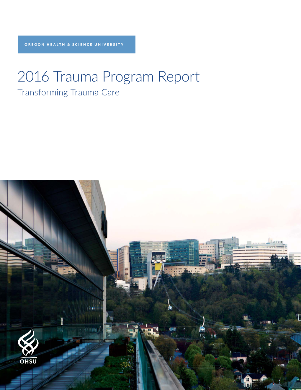 2016 Annual Trauma Program Report