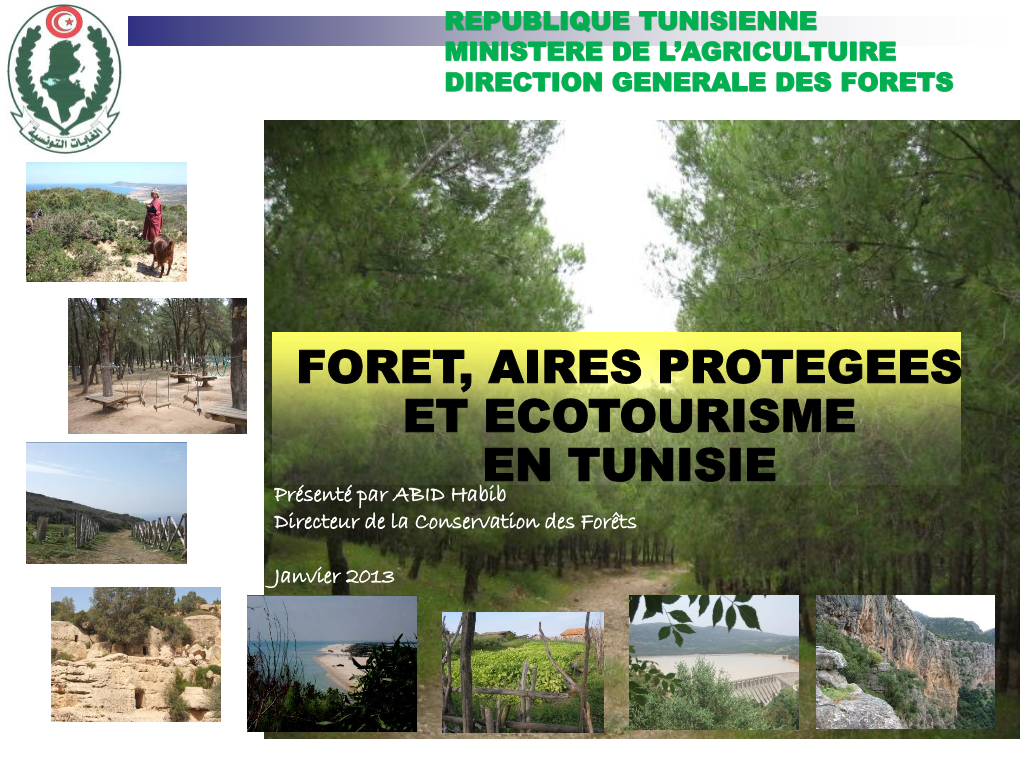 FORET, AIRES PROTEGEES ET ECOTOURISME EN TUNISIE Présenté Par ABID Habib Directeur De La Conservation Des Forêts