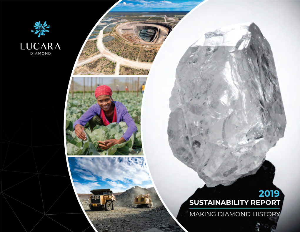 2019 Sustainability Report