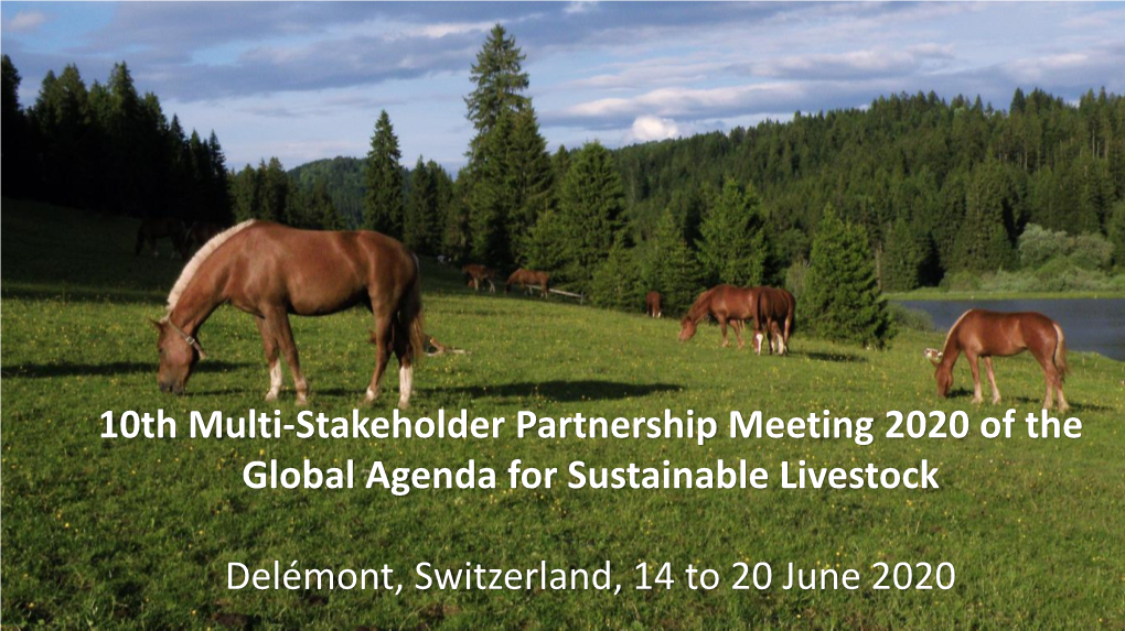 Presentation of the 2020 MSP Meeting in Delémont, Switzerland
