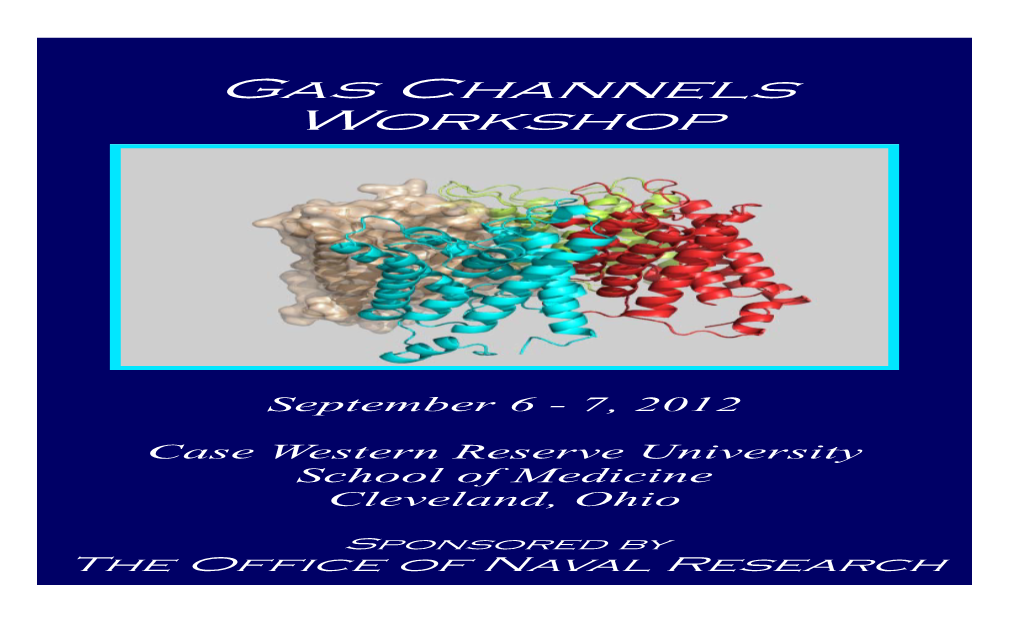 Gas Channels Workshop