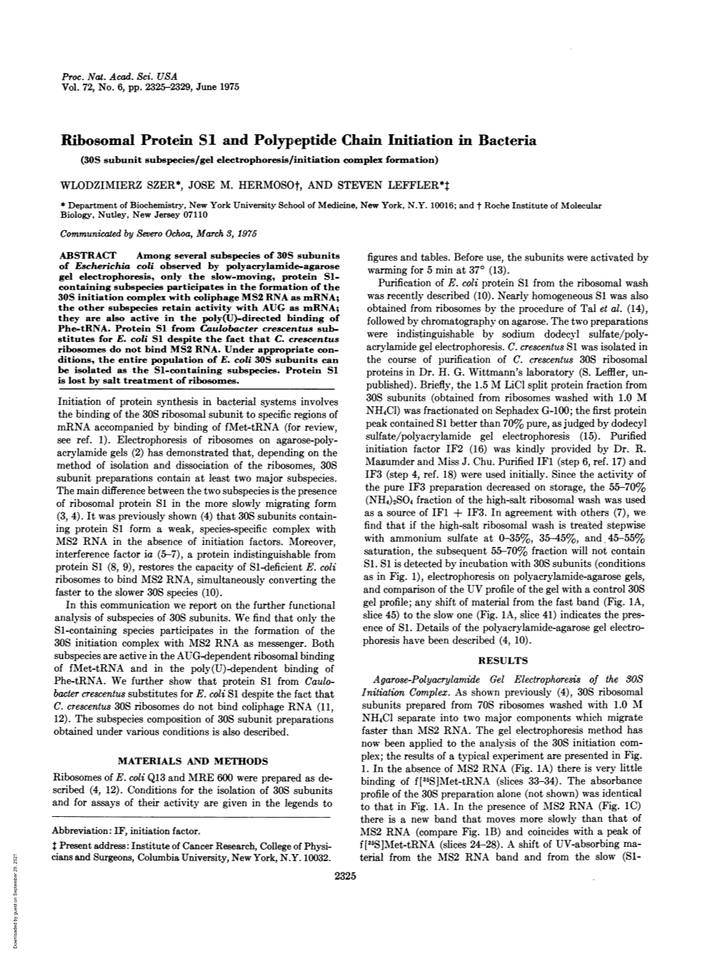 Ribosomal Protein SI and Polypeptide Chain Initiation in Bacteria (30S Subunit Subspecies/Gel Electrophoresis/Initiation Complex Formation) WLODZIMIERZ SZER*, JOSE M