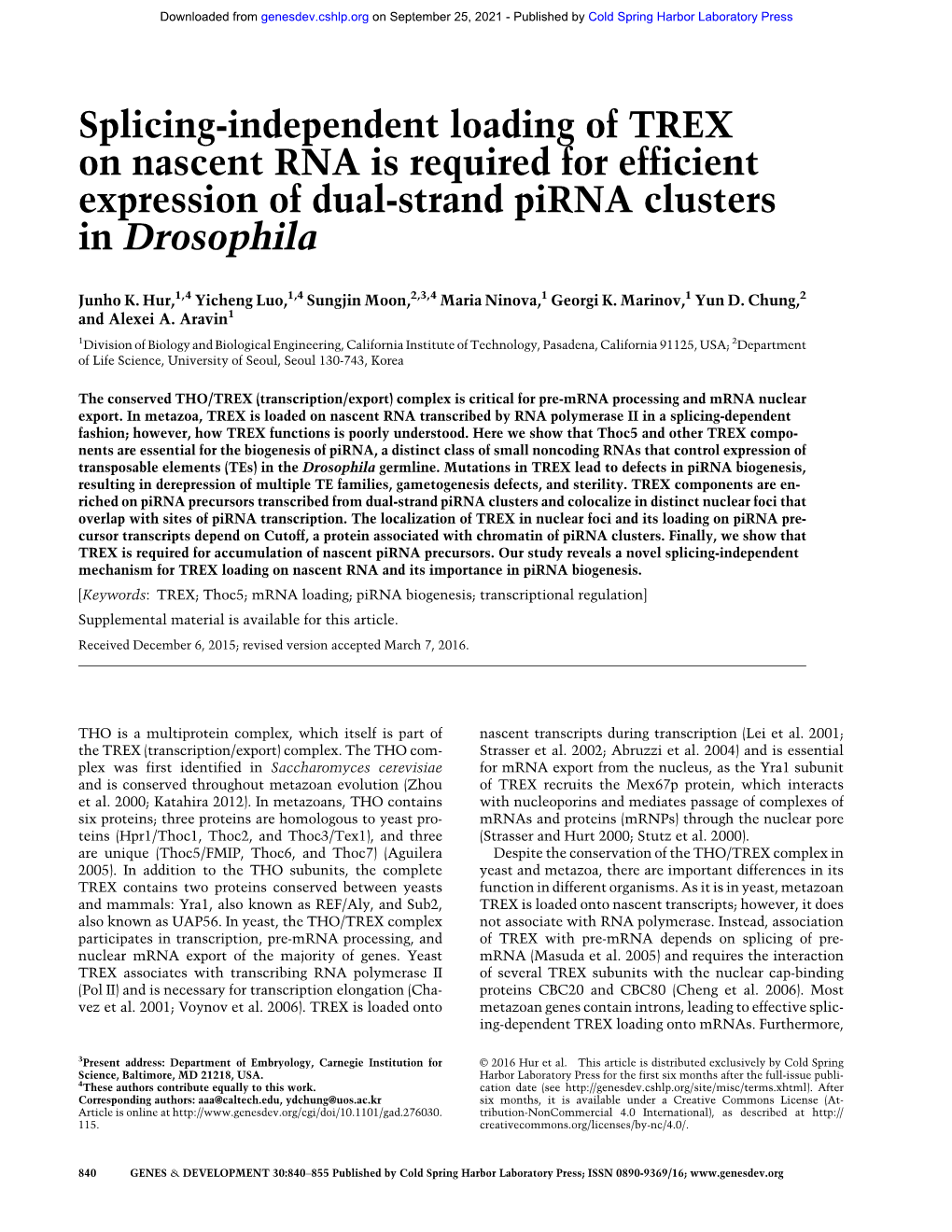 Splicing-Independent Loading of TREX on Nascent RNA Is Required for Efficient Expression of Dual-Strand Pirna Clusters in Drosophila