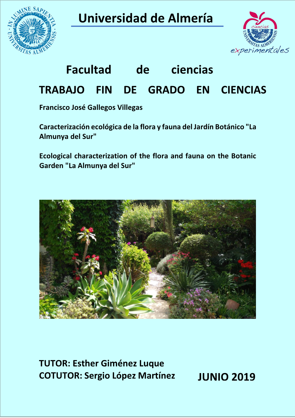 TFG GALLEGOS VILLEGAS, FRANCISCO JOSE.Pdf