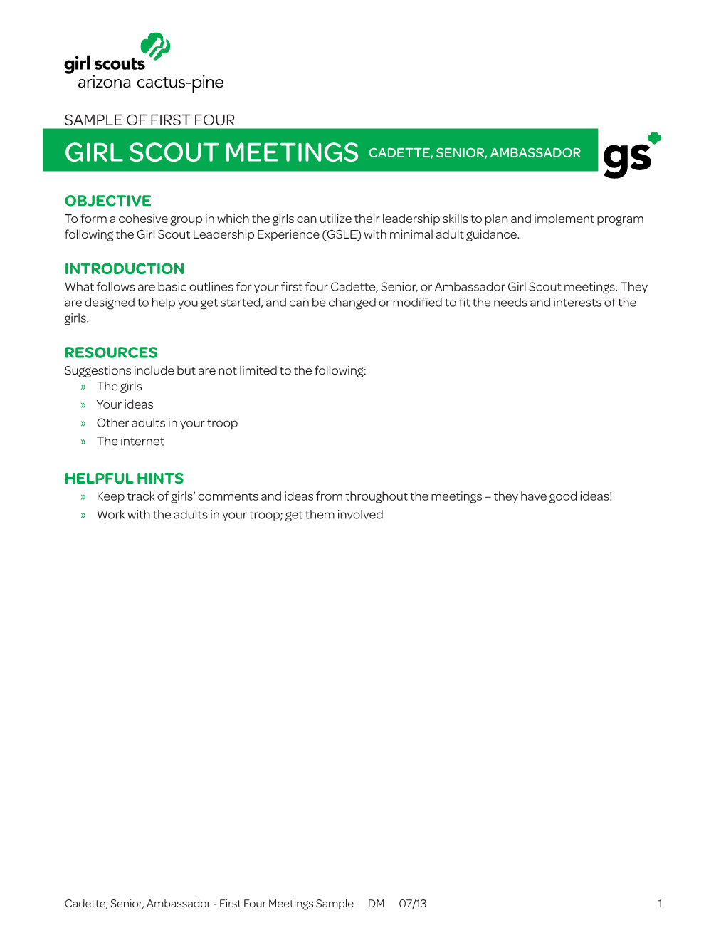 Girl Scout Meetings Cadette, Senior, Ambassador