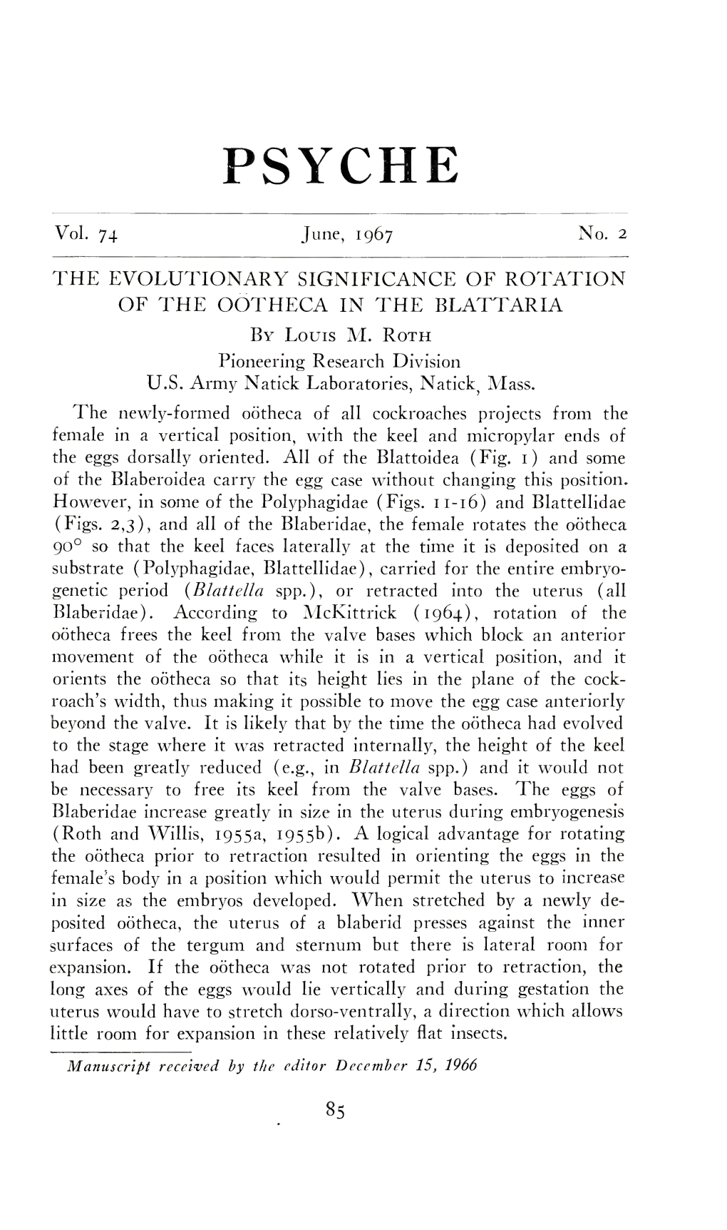 The Evolutionary Significance of Rotation of the Oötheca in The