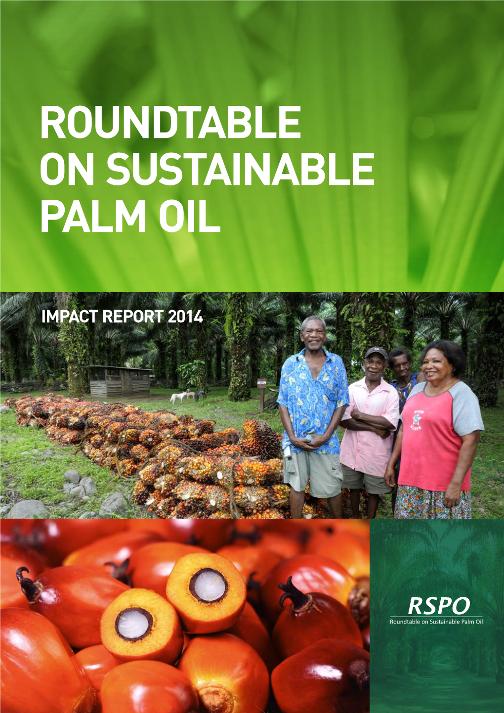 Sustainable Palm Oil